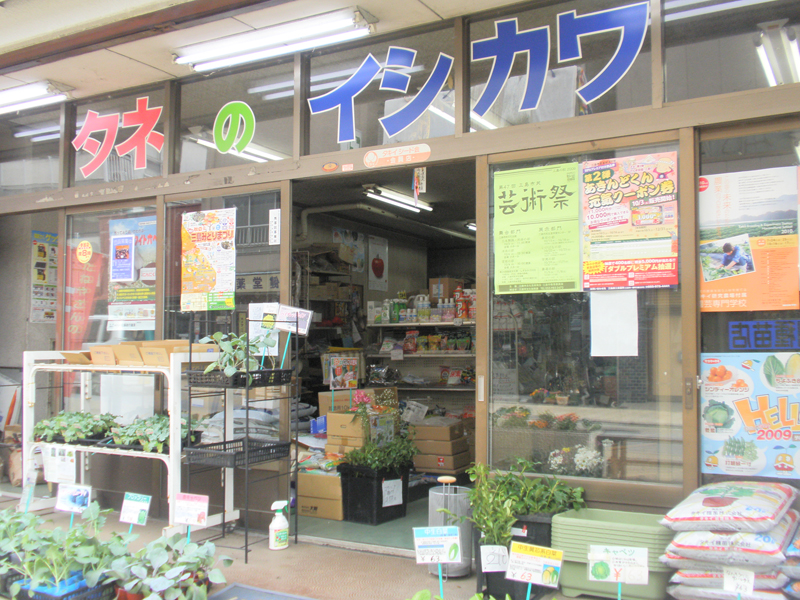 本店