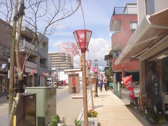 20100403-DSC04490.JPG