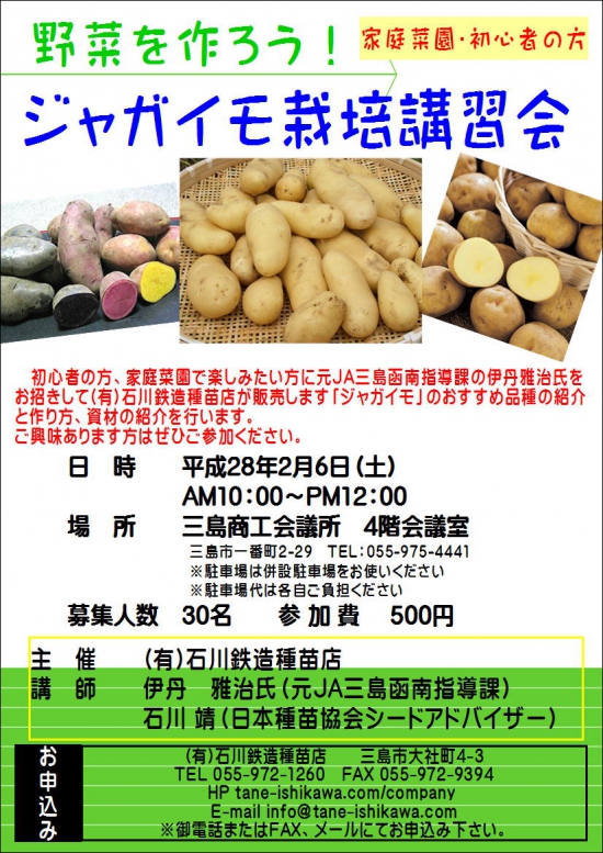 20160126-potato.JPG